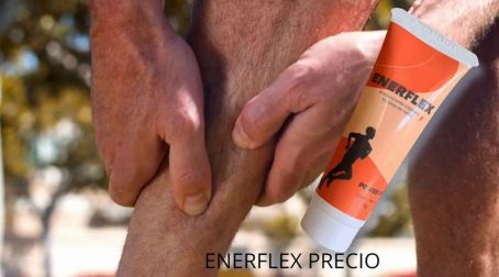 ¿Qué Hace Enerflex?